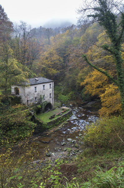Autumn at Bruzella mill, Muggio Valley, Mendrisio District, Canton Ticino, Switzerland.