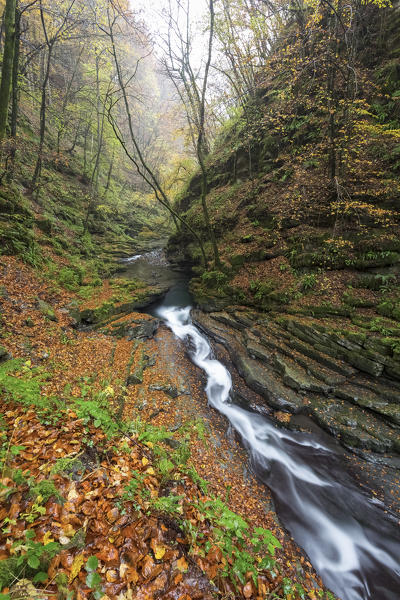 Autumn at a waterfall of the river Breggia, near the Bruzella mill, Muggio Valley, Mendrisio District, Canton Ticino, Switzerland.