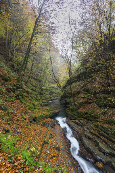 Autumn at a waterfall of the river Breggia, near the Bruzella mill, Muggio Valley, Mendrisio District, Canton Ticino, Switzerland.
