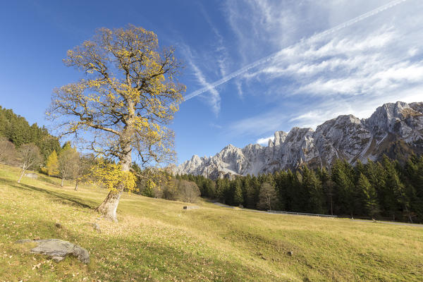 The Campelli di Schilpario in autumn, Schilpario, Val di Scalve, Bergamo district, Lombardy, Italy, Southern Europe.