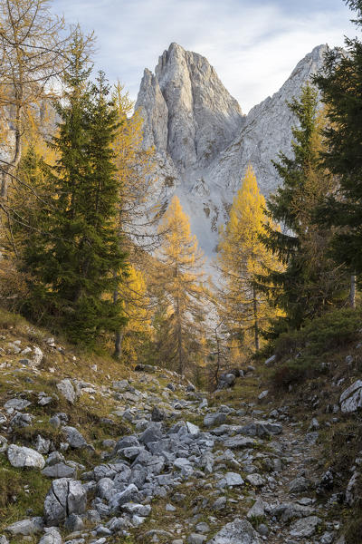 Autumnal view of the Cimone della Bagozza, Schilpario, Val di Scalve, Bergamo district, Lombardy, Italy, Southern Europe.