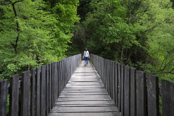 A girl crossing a wooden bridge on the trail of the Breggia gorges, Muggio Valley, Mendrisio District, Canton Ticino, Switzerland.