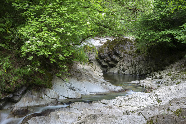 Waterfalls of the river Breggia at Breggia gorges, Muggio Valley, Mendrisio District, Canton Ticino, Switzerland.