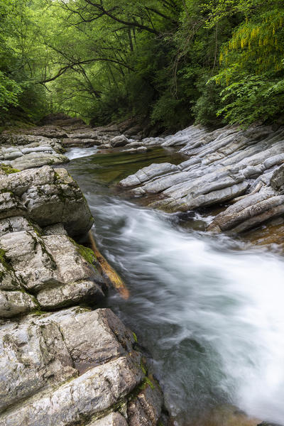 View of the waterfalls in the Breggia gorges, Muggio Valley, Mendrisio District, Canton Ticino, Switzerland.