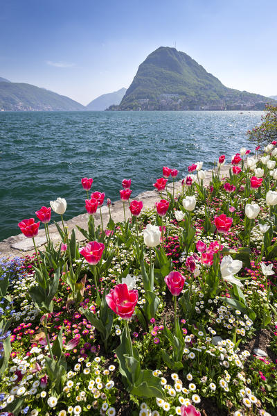 View of blooming flowerbed at Parco Ciani lakefront in Lugano city on a spring day, Canton Ticino, Switzerland.