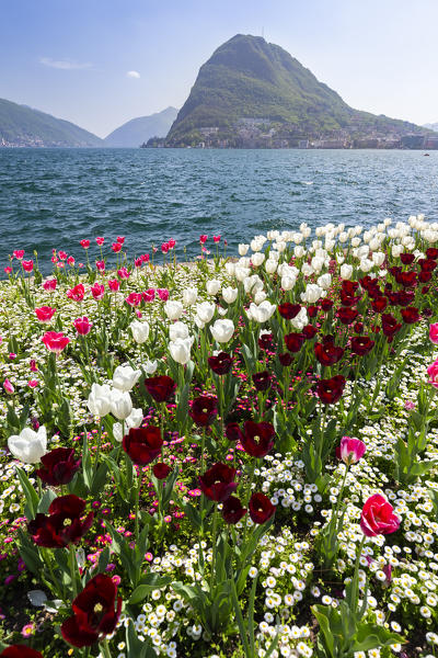 View of blooming flowerbed at Parco Ciani lakefront in Lugano city on a spring day, Canton Ticino, Switzerland.