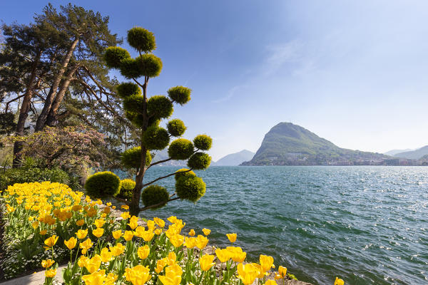 View of blooming flowerbed at Parco Ciani lakefront in Lugano city on a spring day, Canton Ticino, Switzerland.