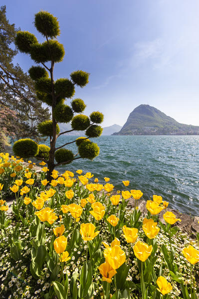 View of blooming flowerbed at Parco Ciani lakefront in Lugano city on a spring day, Canton Ticino, Switzerland.