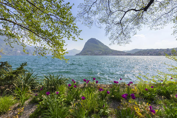 View of blooming flowerbed at Parco Ciani lakefront in Lugano city on a spring day, Canton Ticino, Switzerland.