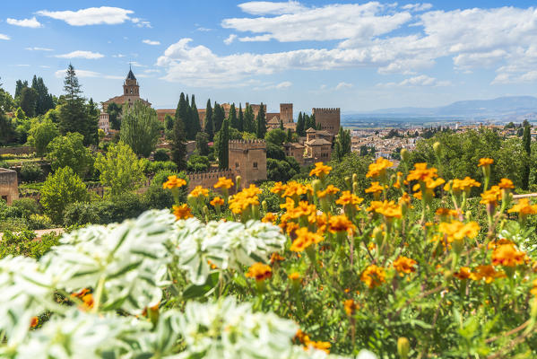 Flowers in the ornamental gardens of Generalife surrounding La Alhambra complex, Granada, Andalusia, Spain