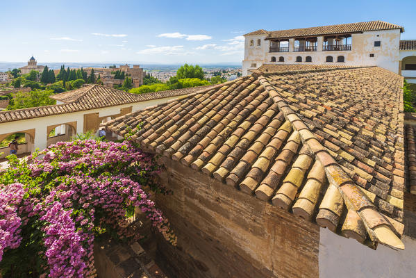 Bouganville and terracotta bricks of Generalife Palace roof, Granada, Andalusia, Spain