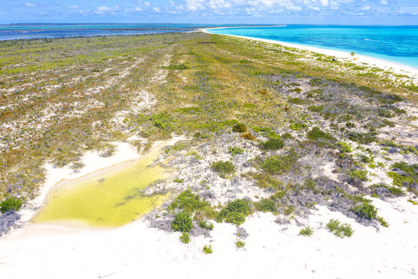 Aerial view of vegetation along the wild Pink Sand Beach, Barbuda, Antigua and Barbuda, Caribbean, Leeward Islands, West Indies