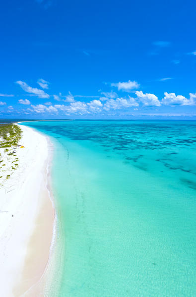 Aerial panoramic of Pink Sand Beach and crystal sea, Barbuda, Antigua and Barbuda, Caribbean, Leeward Islands, West Indies