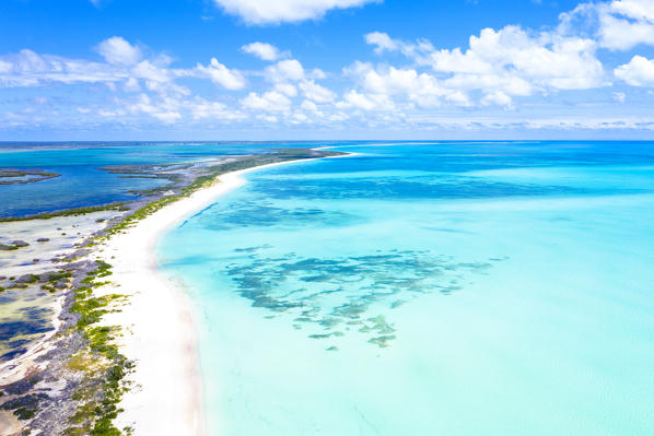 Aerial view of Pink Sand Beach washed by the turquoise sea, Barbuda, Antigua and Barbuda, Caribbean, Leeward Islands, West Indies