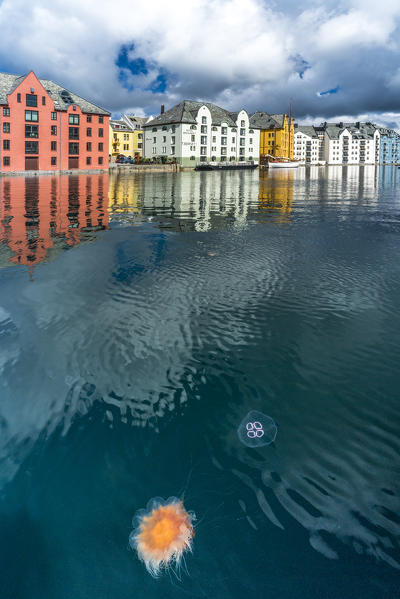 Jellyfish in Brosundet canal surrounded by Art Nouveau styled houses, Alesund, More og Romsdal county, Norway