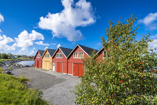 Colorful wood houses, Alnes, Godoya Island, Alesund, More og Romsdal County, Norway