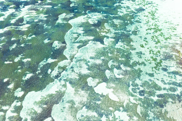 Aerial panoramic of tropical coral reef, Poste Lafayette, Indian Ocean, East coast, Mauritius