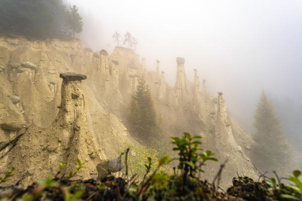 Sunlight in the foggy sky over the Earth Pyramids in autumn, Perca/Percha, province of Bolzano, South Tyrol, Italy