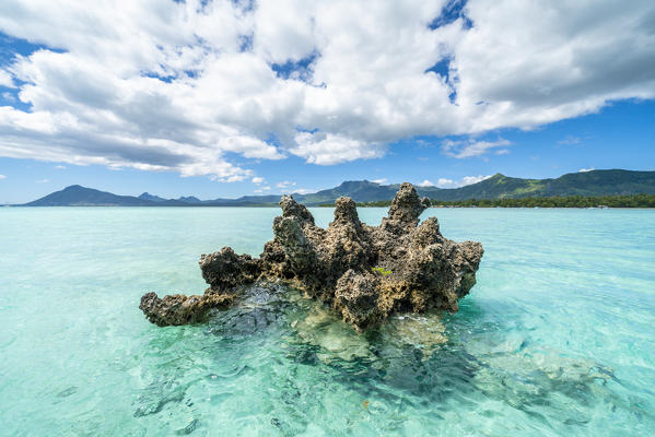 Crystal Rock in the shallow water of turquoise lagoon, La Gaulette, Le Morne Brabant, Black River, Indian Ocean, Mauritius