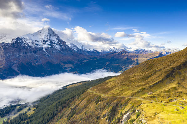 Autumn colors in the alpine landscape with Mount Eiger in background seen from First, Grindelwald, Canton of Bern, Switzerland