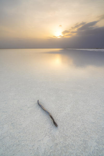 Isolated wood stick in salt desert on Lake Karum at sunset, Dallol, Danakil Depression, Afar Region, Ethiopia, Africa