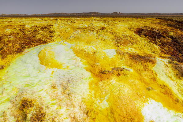 Pools of volcanic acid sulphur, Dallol, Danakil Depression, Afar Region, Ethiopia, Africa