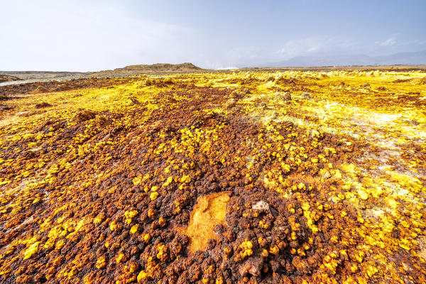 Colorful sulphur acid deposit on volcanic ground, Dallol, Danakil Depression, Afar Region, Ethiopia, Africa