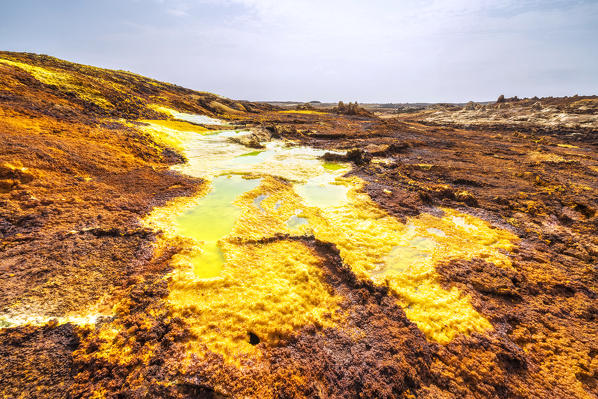 Surreal colorful landscape of Dallol volcanic area, Danakil Depression, Afar Region, Ethiopia, Africa