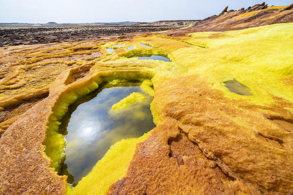 Sulphure rock formations in acid brine pool, Dallol, Danakil Depression, Afar Region, Ethiopia, Africa