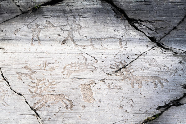 Rupestrian engravings depicting warriors and deer, Naquane National Park, Capo di Ponte, Valcamonica, Lombardy, Italy