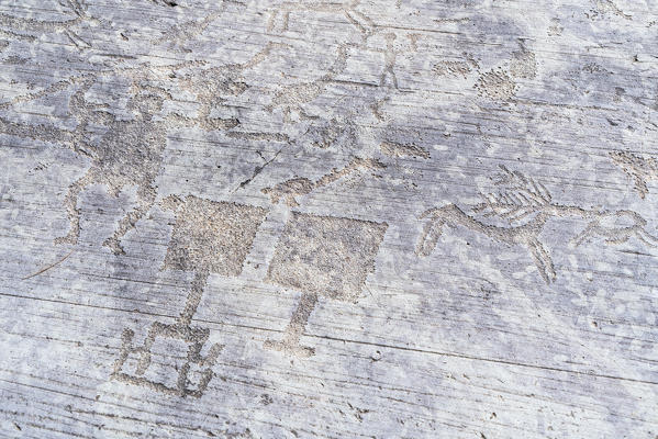 Rock drawings of human figures, palette (shovel) and deer, Naquane National Park, Capo di Ponte, Valcamonica, Lombardy, Italy