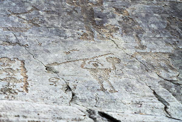 Petroglyphs (rupestrian engravings) of warrior with spear, shield and helmet, Naquane Park, Valcamonica, Lombardy, Italy
