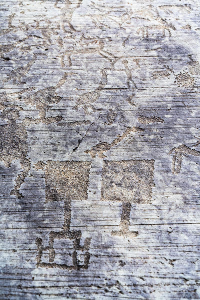 Rock drawings of human figures and palette (shovel), Naquane National Park, Capo di Ponte, Valcamonica, Lombardy, Italy