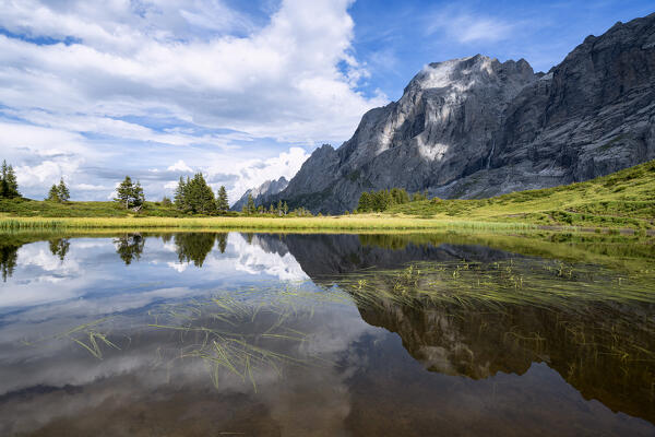 Wellhorn mountain reflected in the alpine lake at Grosse Scheidegg Pass, Grindelwald, Bernese Alps, Canton of Bern, Switzerland