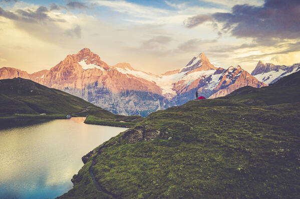 Hiker with tent looking at Bachalpsee lake and mountains at sunset, Grindelwald, Bernese Oberland, Switzerland