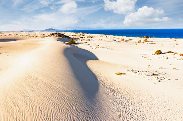 Sand dunes of Corralejo Natural Park, Fuerteventura, Canary Islands, Spain