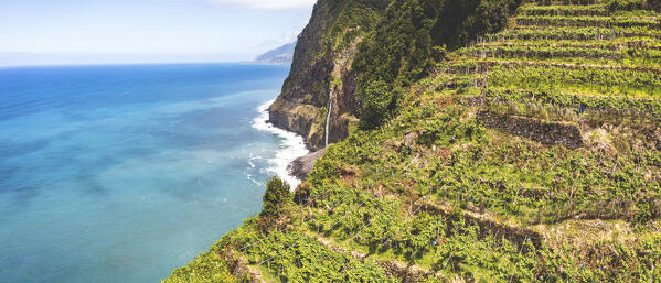 Terraced vineyards and Bridal Veil Fall cascade from Veu da Noiva viewpoint, Seixal, Madeira island, Portugal