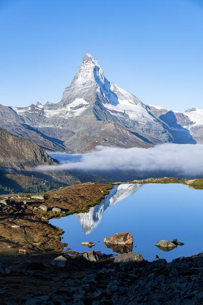 Matterhorn reflected in lake Stellisee at dawn, Zermatt, Valais canton, Switzerland