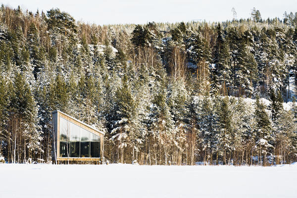 Isolated wood cabin luxury suite among vegetation covered with snow in winter,  Arctic Bath Hotel, Harads, Lapland, Sweden