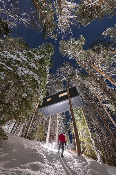 Person admiring the cabin room shaped like a capsule among tall trees in the snowy forest, Tree Hotel, Harads, Lapland, Sweden