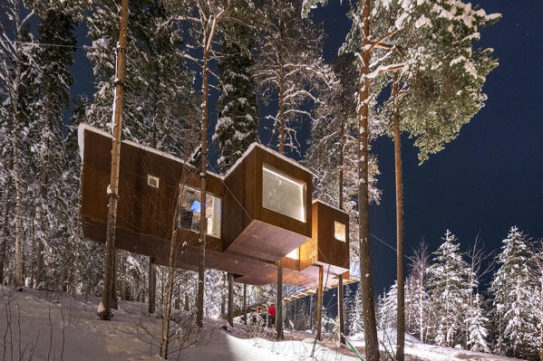 Wood cottage with large panoramic windows set among snowy trees in the unspoiled forest, Tree hotel, Harads, Lapland, Sweden