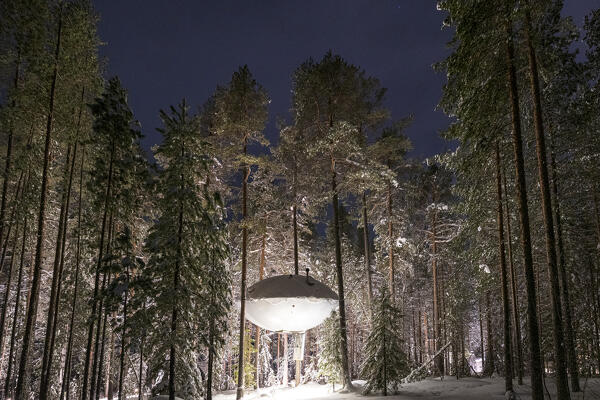 Futuristic UFO shaped room for tourists suspended among tall trees in the snowy forest, Tree hotel, Harads, Lapland, Sweden