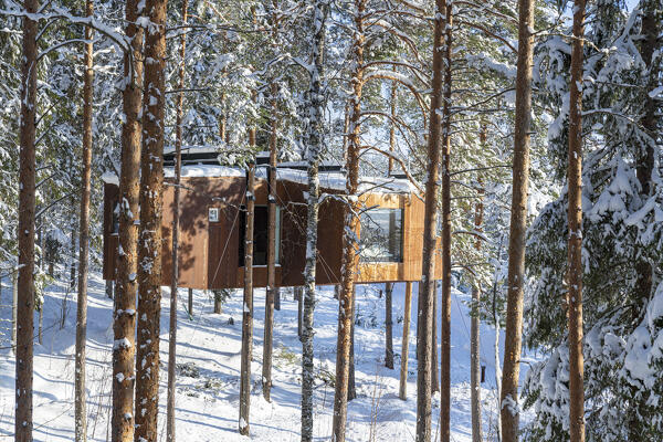 Wood chalet for tourists set among trees of forest in the snow, Tree hotel, Harads, Lapland, Sweden