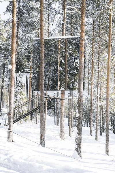 Cube shaped room on snowy trees with mirror walls reflecting the beauty surrounding forest, Tree hotel, Harads, Lapland, Sweden