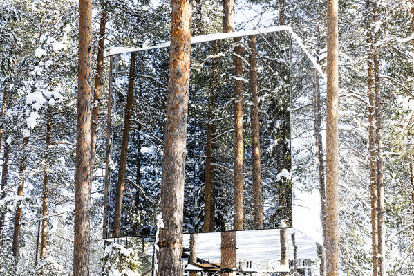 Cube shaped room on snowy trees with mirror walls reflecting the beauty surrounding forest, Tree hotel, Harads, Lapland, Sweden