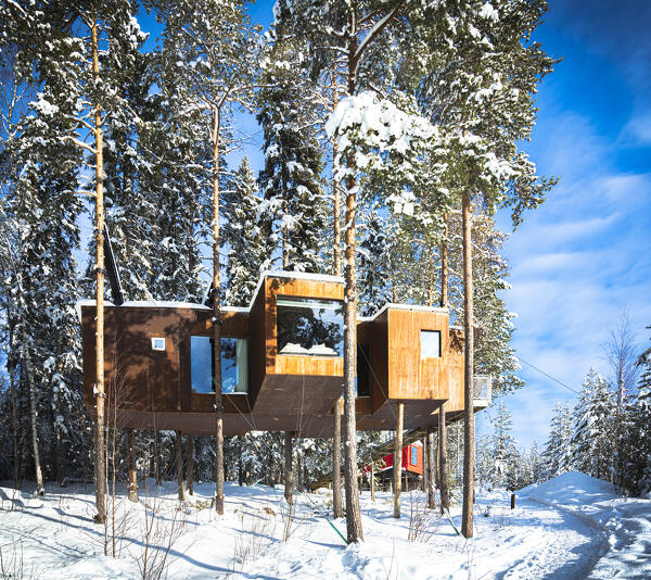 Clear winter sky over the wood cottage with panoramic windows set among snowy trees, Tree hotel, Harads, Lapland, Sweden