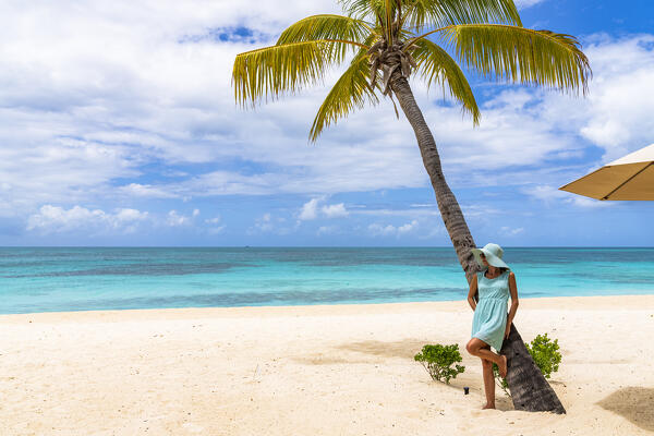 Woman in turquoise dress leaning on palm tree on idyllic tropical beach, Barbuda, Antigua and Barbuda, Caribbean, West Indies
