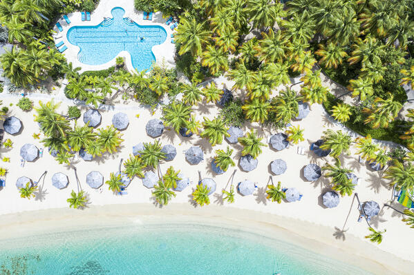 Swimming pool and parasols framed by palm trees on white sand of tropical beach from above, Antigua, Caribbean, West Indies