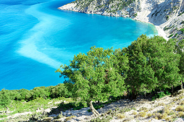 Lush trees on coastline above the turquoise lagoon surrounding Myrtos beach, Kefalonia, Ionian Islands, Greece