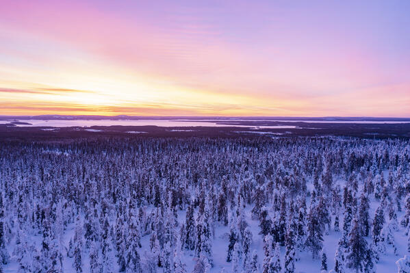 Aerial view of the snowy forest under the romantic sky at dawn, Riisitunturi National Park, Lapland, Finland